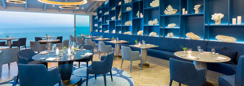 restaurante ocean