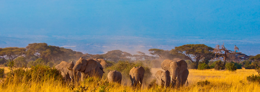 turismo en kenia ecologico