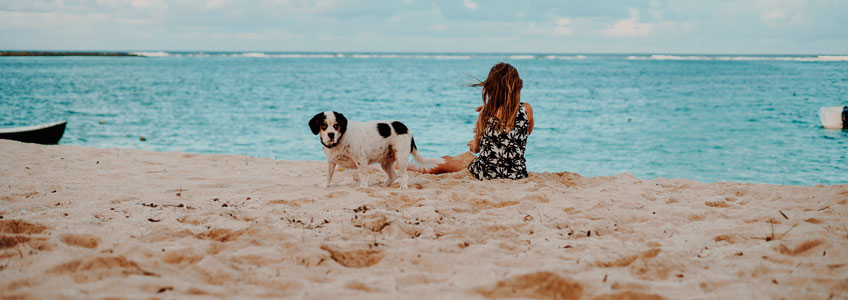 playas para llevar a perros